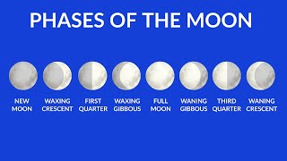 Phases of the Moon  Understanding Moon Phases  Video for kids [upl. by Grimbal]