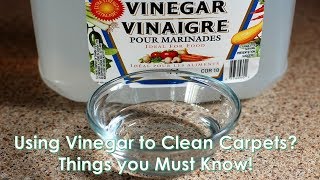 Using Vinegar to Clean Carpets Things you Must Know [upl. by Airyk273]