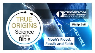 29 Sept 24 Noahs Flood Fossils amp Faith [upl. by Anorahs49]