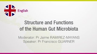 02 ENG  Structure and Functions of the Human Gut Microbiota [upl. by Bohlin946]