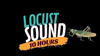 Locust Sound 10 Hours Cicadas Noise at Night [upl. by Mortie]