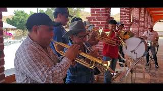 Para los Amantes de la Buena Música con la Banda de San Ildefonso Salinas  Aires del Toro Loco [upl. by Euphemie]