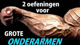 GESPIERDE ONDERARMEN  2 Beste Oefeningen [upl. by Wilkey76]