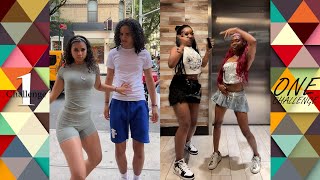 I Like The Way Your Body Is Is That Too Obvious Challenge Dance Compilation [upl. by Uhp357]