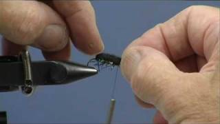 Learn Fly Tying Lesson 18 For Beginners the Water Beetle [upl. by Lliw]