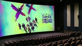 Audience Reaction  Suicide Squad [upl. by Perl]