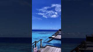 Maldives Would you like stay here hotel maldives island shorts [upl. by Uahc486]