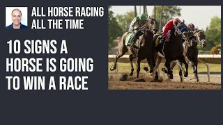 10 Signs a Horse is Going to Win a Race [upl. by Diskson351]