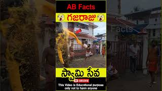 🐘గజరాజు🐘 Elephant going to temple telugufacts animals god facts shorts youtubeshorts abfacts [upl. by Zetroc811]