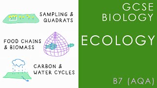 ECOLOGY  GCSE Biology AQA Topic B7 [upl. by Lac]