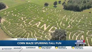 Southern Promiseland Farm corn maze celebrates 20 years of fall fun [upl. by Rhianna]