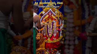 sri antaragattamma Devi Navaratri Pooje in channagiri 2 [upl. by Llarret]