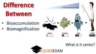 What is the Difference Between Bioaccumulation and Biomagnification [upl. by Okram]