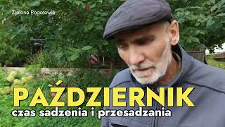 PAŹDZIERNIK  czas sadzenia i przesadzania roślin [upl. by Arlon]