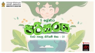 වැඩ පහසු කිරීමේ මඟ  01  පරිසරය  5 ශ්‍රේණිය [upl. by Jacquette]