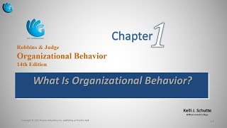 What is Organizational Behavior  Organizational Behavior Chapter 1 [upl. by Tisdale]