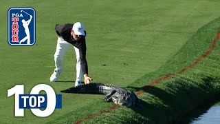 Top 10 Animal Encounters on the PGA TOUR [upl. by Attenweiler]