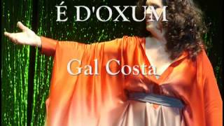 GAL COSTA É DOXUM [upl. by Emee]