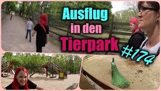 Einen Ausflug in den Tierpark 174  230419  Martinas Tagebuch [upl. by Ennaeel]