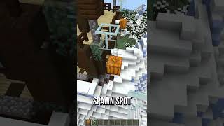 Find Pillager Spawn Spots for a Raid Farm minecraft [upl. by Conrad]