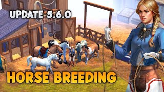 UPDATE 560  NEW HORSE amp HORSE BREEDING  WESTLAND SURVIVAL [upl. by Chicky]