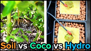 Soil vs Hydro vs Coco Blend for Indoor Gardening and Hydroponics [upl. by Bandler141]