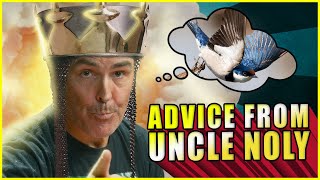 What is the Airspeed of an Unladen Swallow  ADVICE FROM UNCLE NOLY [upl. by Weismann]