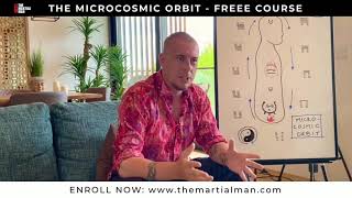 Explaining The Microcosmic Orbit  FREE Course with Damo Mitchell [upl. by Ilse]