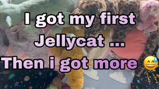 Jellycat Haul amp Unboxing [upl. by Athiste]