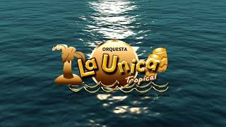 ME RECORDARAS  LA UNICA TROPICAL VIDEO LYRIC [upl. by Felise542]