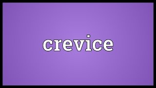 Crevice Meaning [upl. by Sitruk]