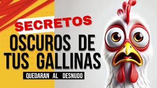 Secretos de las Gallinas Ponedoras Que Te SORPRENDERÁN [upl. by Fredenburg869]