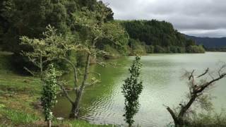 Furnas Lake Panorama  Sao Miguel  Acores [upl. by Neeham]