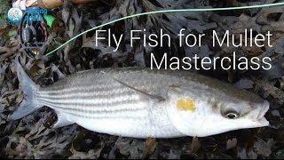 Part 2  Mullet Masterclass  UK Saltwater fly fishing [upl. by Trebeh849]