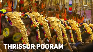 Thrissur Pooram  A Feast for the Eyes  360° Experience  Temple Festivals  Kerala Tourism [upl. by Yeroc862]