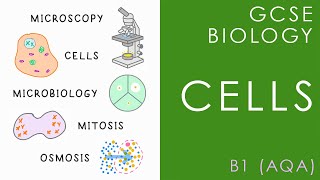 CELL BIOLOGY  GCSE Biology AQA Topic B1 [upl. by Silliw]