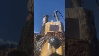 Cool Bear Carving Monument at Plumas National Forest trending viralvideo plumas nationalforest [upl. by Werdna]