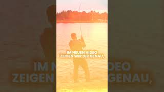 ZanderBoost Jigspinner amp KickbackRig im Kanal raubfischangeln fishing angeln fish [upl. by Hebert332]