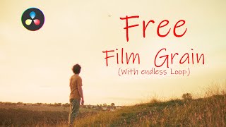 Adding Free Film grain with infinite loop in Davinci Resolve [upl. by Llien]