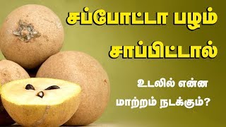 Sapota Fruit Health Benefits  Chikoo Fruit  Tamil Health Tips [upl. by Clyde]