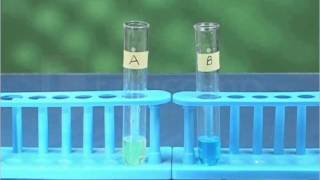 Reaction of iron nails with copper sulphate solution [upl. by Marv]