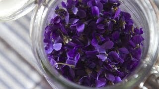 Making Perfume from Violets Enfleurage  Fresh P [upl. by Cherye750]