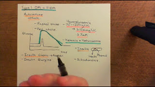 Diabetes Mellitus and Antidiabetic Drugs Part 3 [upl. by Collbaith227]