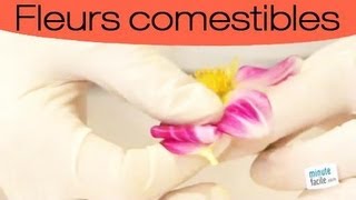 Astuces pour réaliser des pétales de fleurs cristallisés [upl. by Nylekoorb]