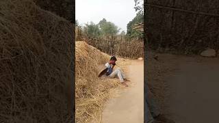 Ye pyar me kyu hota hai youtubeshorts santali funny comedy [upl. by Dnomed]