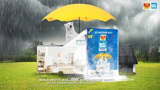 Birla White WallSeal Waterproof Putty  Hindi [upl. by Primalia957]