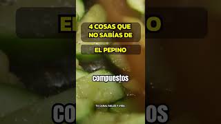 4 BENEFICIOS DEL PEPINO EN TU DIETA DIARIA alimentossaludables  pepinos pepino sabiasque [upl. by Reinal]