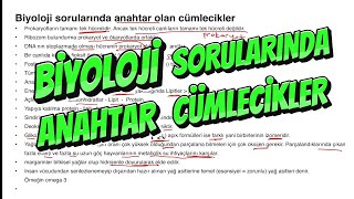 BİYOLOJİ SORULARINDA ANAHTAR CÜMLECİKLER [upl. by Gaither]