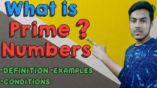 What Is Prime Numbers  Prime Numbers Kya Hote Hain [upl. by Euqinad]