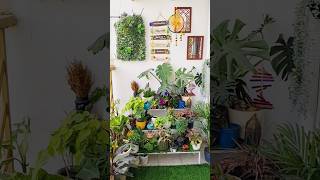 Balcony Makeover part 2 Final youtubeshorts shots balconygarden balconymakeover balcony [upl. by Arba420]